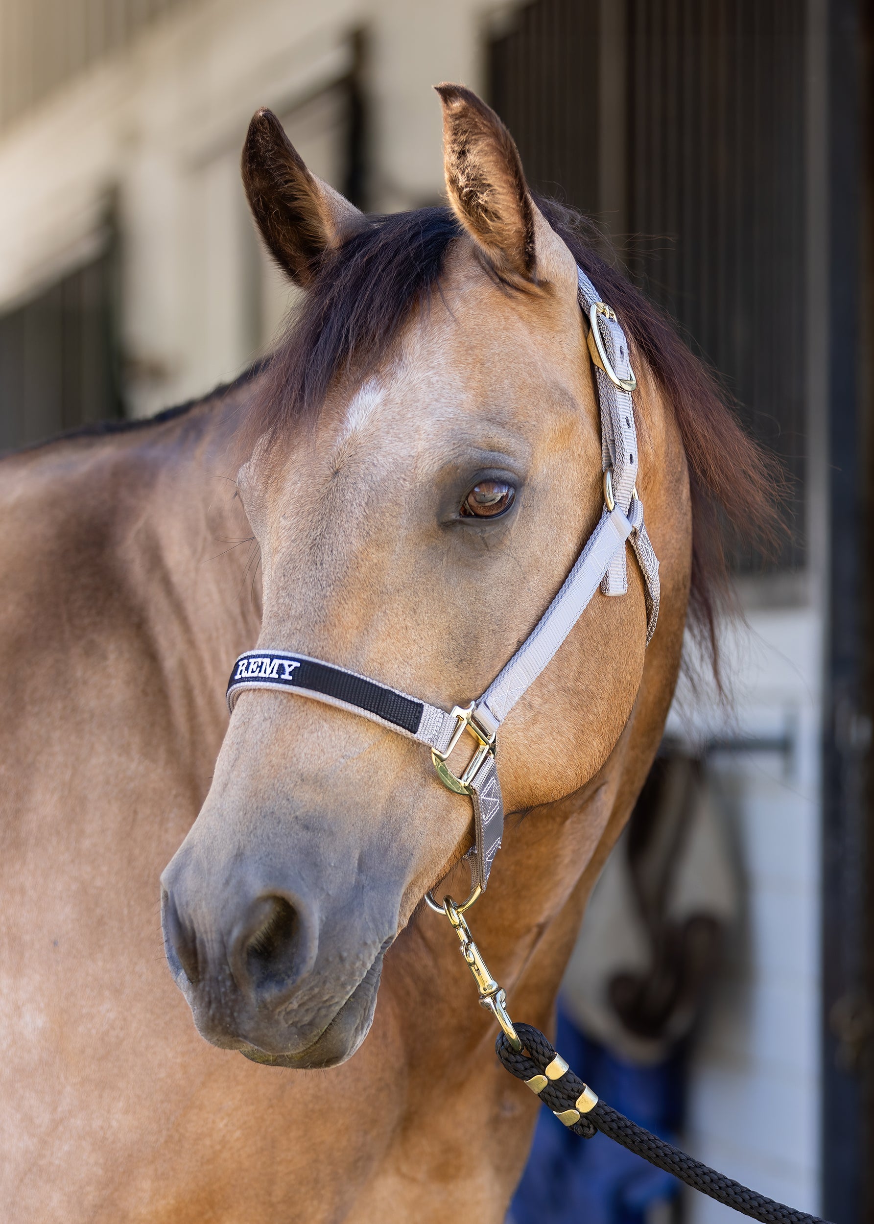 Custom Halter