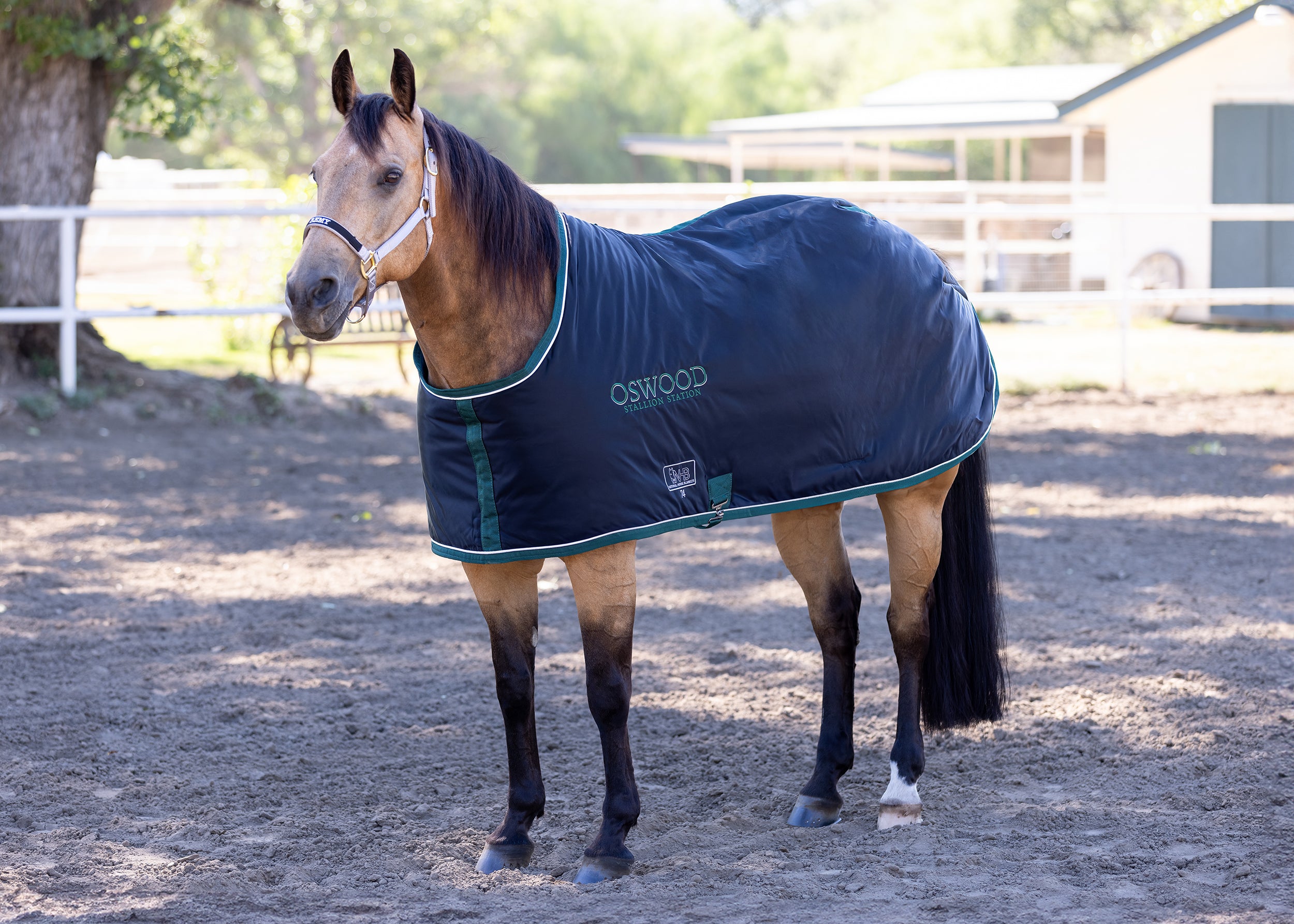 Custom Stable Blanket